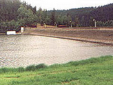 zlutice_01